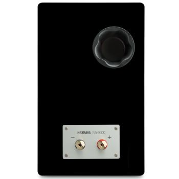 Yamaha NS-3000 πισω μερος