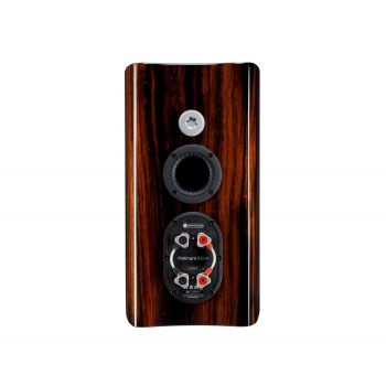 Monitor Audio Platinum-100 3G rear, connections