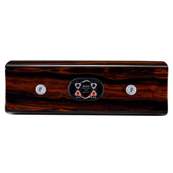 Monitor Audio Platinum-C250 3G rear, connections