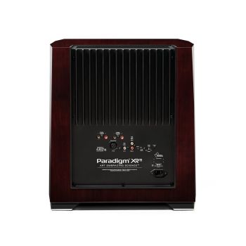 Paradigm XR-11 midnight cherry rear connections