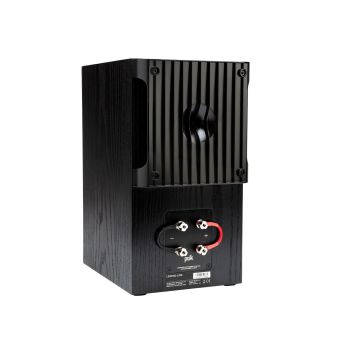 Polk Audio Legend L200 back, connections