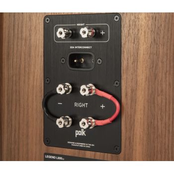 Polk Audio Legend L800 connections