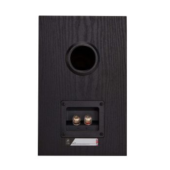 Fyne Audio F301i black connections