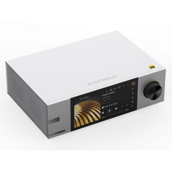 EVERsolo DMP-A6 Master Edition Gen 2 silver