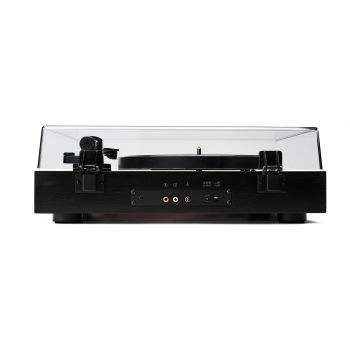 Argon Audio TT Signature dark cherry connections