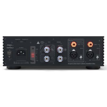 EVERsolo AMP-F2 rear, connections