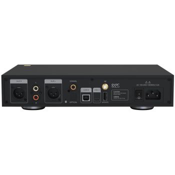 EVERsolo DAC-Z8 rear, connections