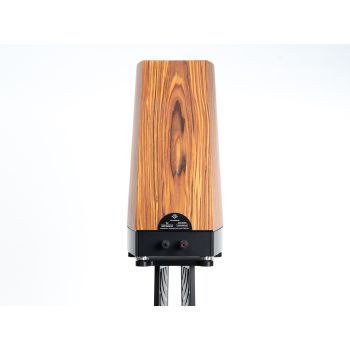 YG Acoustics Peaks Tor oak, rear, connections