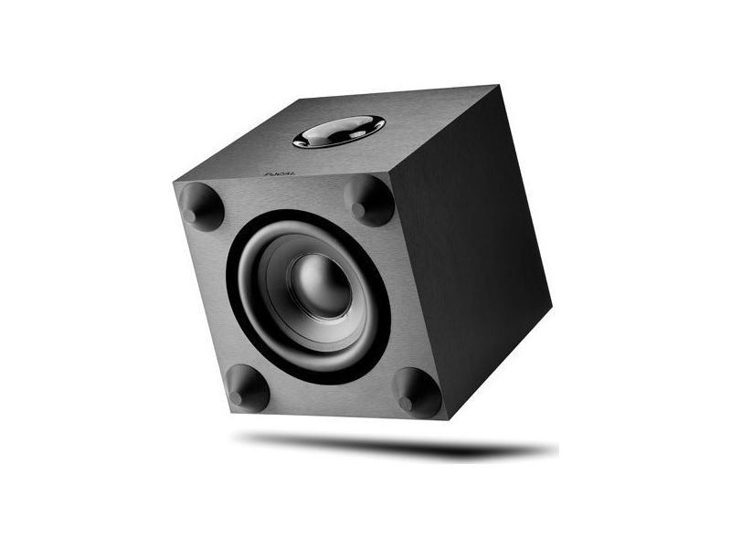 Focal Cub Evo