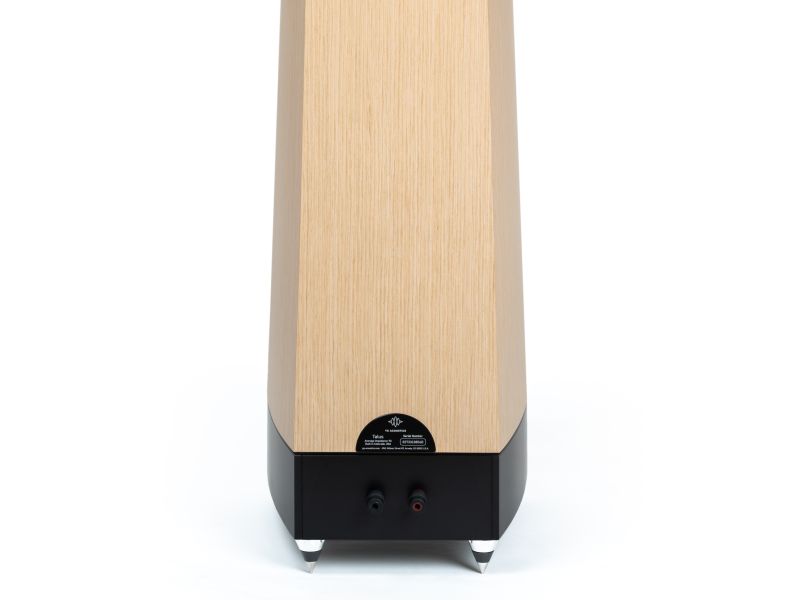 YG Acoustics Peaks Talus